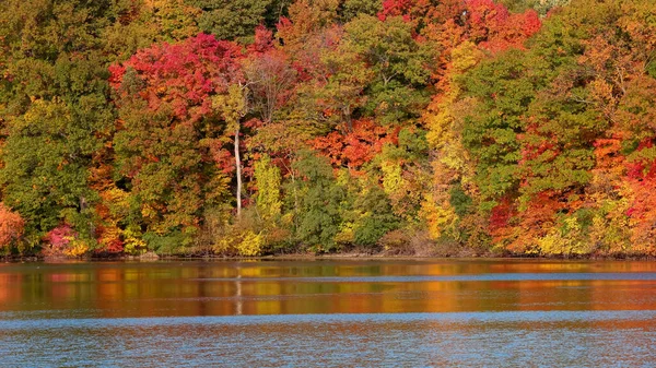 Colorful Fall Foliage Phoenix Lake Michigan Peak Autumn Time — 图库照片