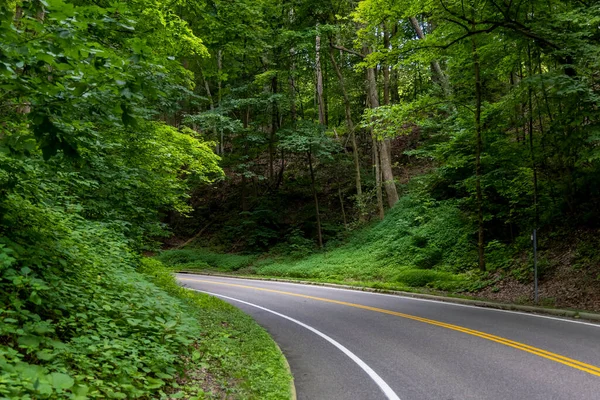 Сценічна Дорога Національному Парку Долини Каягоґа Огайо Покрита Густими Лісами — стокове фото