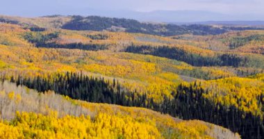Bright fall foliage at Monte Cristo overlook in Utah.