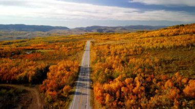Aerial view of bright fall foliage at Monte Cristo overlook in Utah.