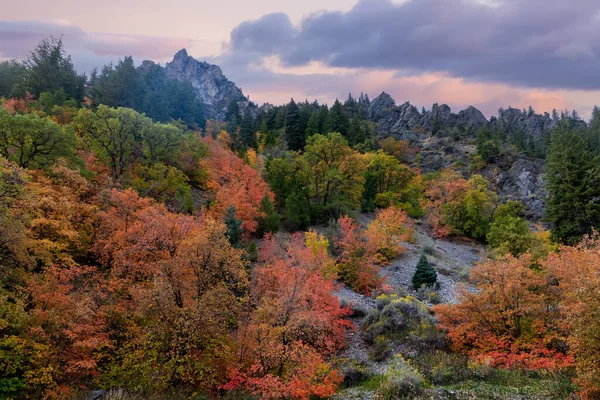 Colorful Fall Foliage Nebo Loop Utah — Stock Photo, Image