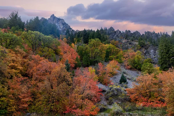 Colorful fall foliage along Mt Nebo loop in Utah.