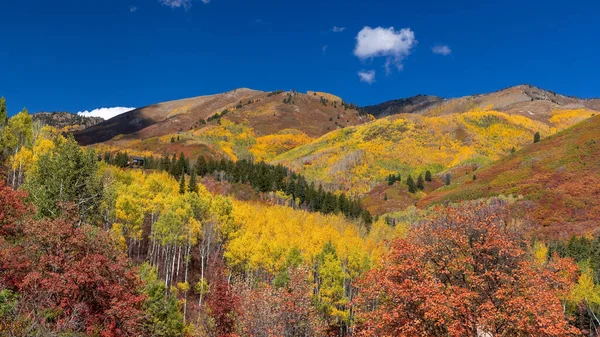 Wasatch Mountain State Park Fall Foliage Mountain Top Utah — Stok fotoğraf