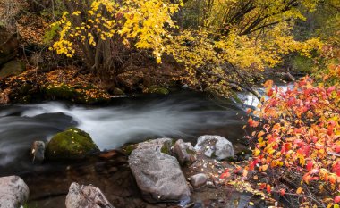 Running water at Big Cottonwood creek during autumn time, Long exposure shot.