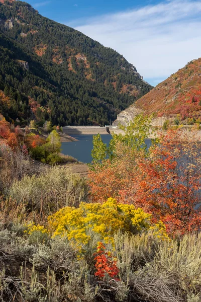 Utah Ogden Yakınlarındaki Pine View Barajında Renkli Sonbahar Ağaçları — Stok fotoğraf