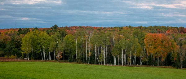 Panoramiczny Widok Kolorowych Drzew Górnym Półwyspie Michigan Jesienią — Zdjęcie stockowe