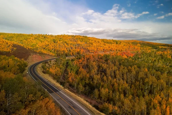 Uitzicht Vanuit Lucht Het Helderdalende Gebladerte Langs Route Het Noorden — Stockfoto