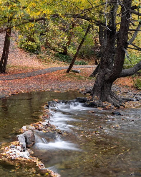 Fließendes Wasser Und Kleine Wasserfälle American Fork River Utah Herbst — Stockfoto