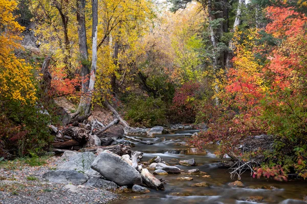 小さな水は 秋の時間の間にユタ州のアメリカンフォーク峡谷で落ちる — ストック写真