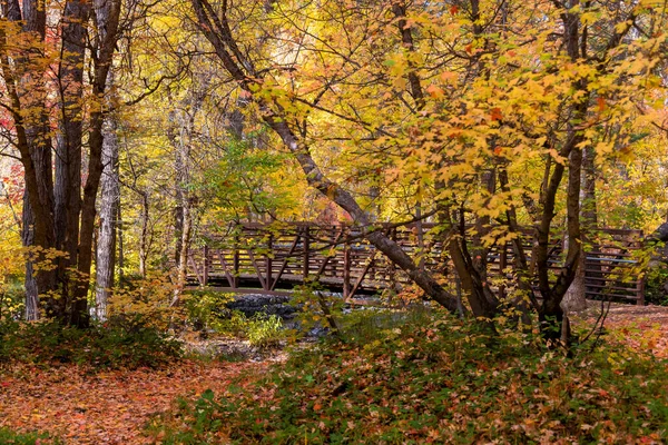 ユタ州の北米フォークキャニオンにあるカラフルな紅葉に囲まれたクロスブリッジ — ストック写真