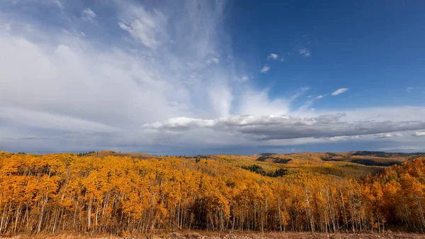 Colorful Aspen Trees Autumn Time Monte Cristo Overlook Utah — Stock Photo, Image