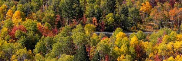 Panoramisch Uitzicht Kleurrijk Herfstgebladerte Het Skibekken Ogden Vallei Utah — Stockfoto