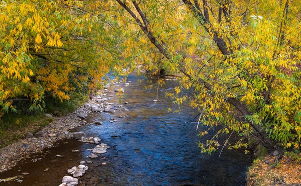 Colorido Follaje Otoño Cubierto Sobre Río South Fork Ogden Utah —  Fotos de Stock