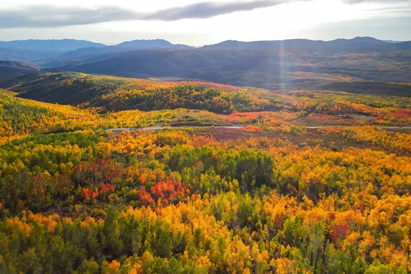 Luchtfoto Van Kleurrijk Herfstblad Monte Cristo Met Uitzicht Noord Utah — Stockfoto