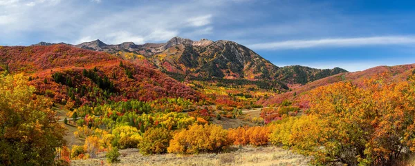 Panoramatický Výhled Krajinu Sněhové Pánve Utahu Brilantní Podzimní Listí Kolem — Stock fotografie