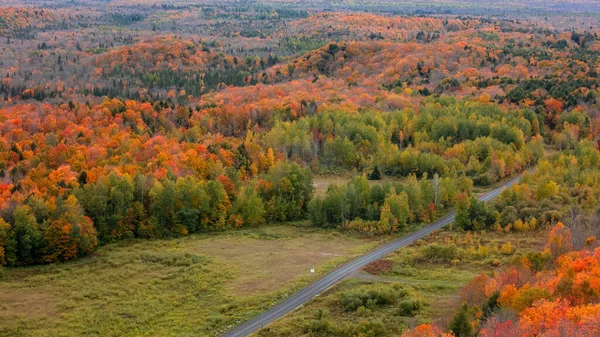 Luchtfoto Van Black River National Forest Michigan Bovenste Schiereiland Heldere — Stockfoto