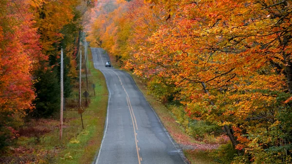 Bright Autumn Trees Scenic Byway Black River National Forest Michigan — Stock Photo, Image