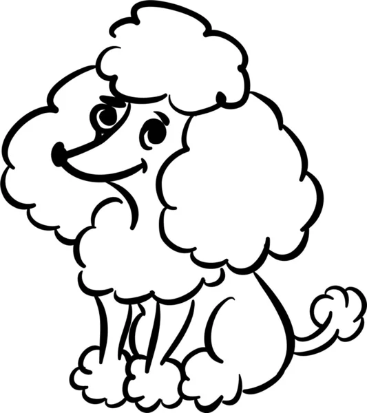 Funny poodle — Stock Vector