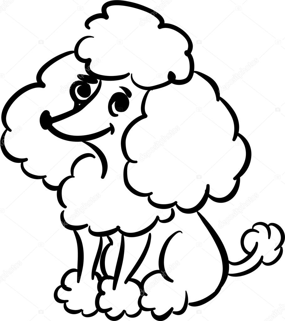 Black and white sketch of funny little poodle with fluffy ears on a white background