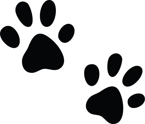 Vektor macskák paws — Stock Vector