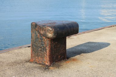 demir dock Koç boynuzu