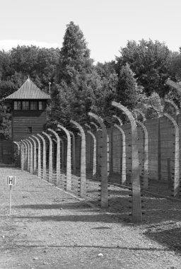Auschwitz'de dikenli tel