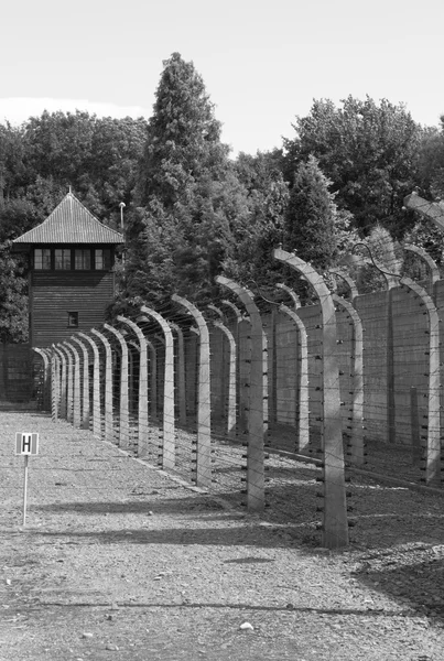 Arame farpado em Auschwitz — Fotografia de Stock