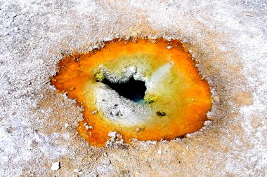 yellowstone tencereye boya