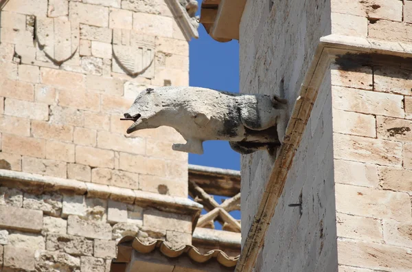 Gargulec w palma de mallorca katedry — Zdjęcie stockowe