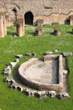 Roma hamamları Thermae