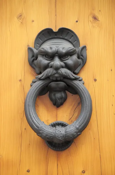 Lion head knocker — Stock Photo, Image