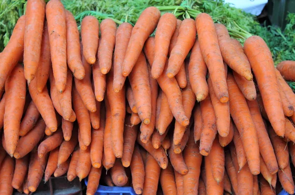 Zanahorias — Foto de Stock