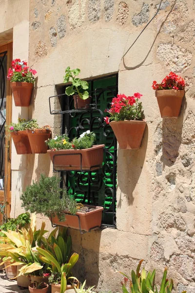 Window with flower pots — Stock Photo, Image