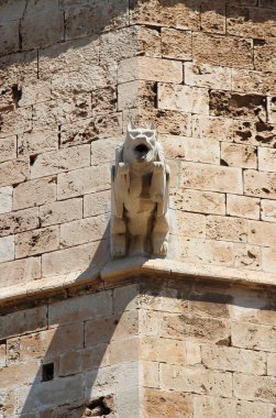 bir palma de mallorca katedral içinde canavar