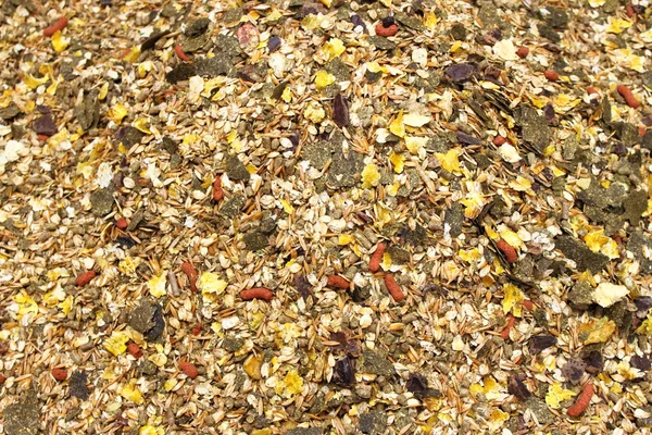 Horse feed mix — Stock Photo, Image