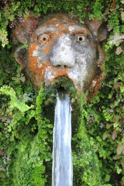 Dog fountain in Villa d clipart