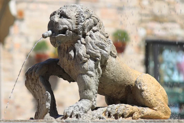 Fontana di leone — Foto Stock
