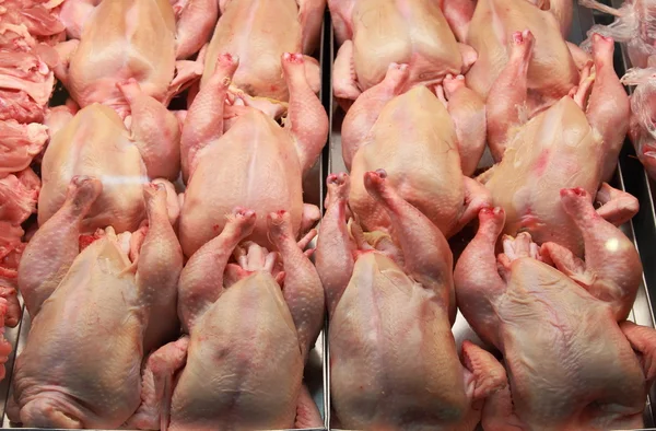 Poulets frais dans une boucherie — Photo