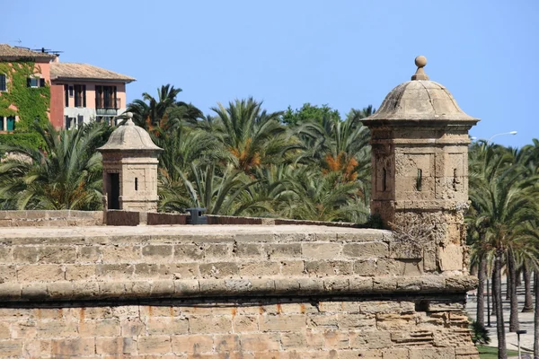 Palma de Mallorca dalt Murada — Stock Fotó