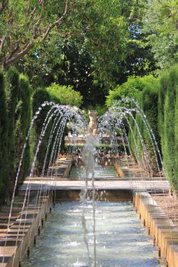 Hort del rei bahçeleri palma de Mallorca