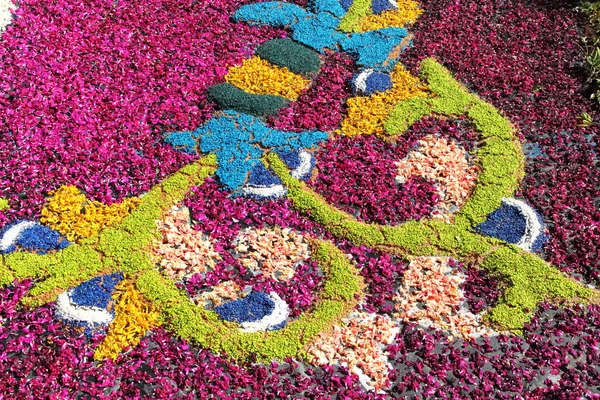 Alfombra floral — Foto de Stock