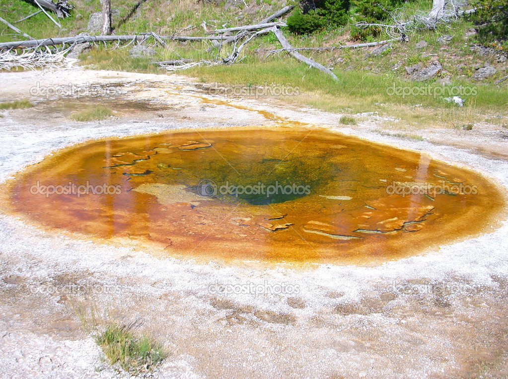 Fountain Paint Pot