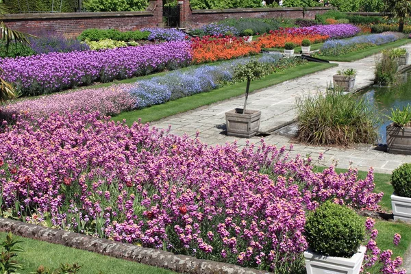 Bellissimo giardino formale — Foto Stock