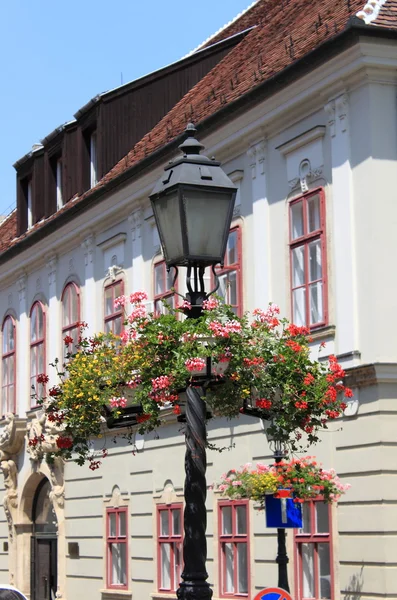 Lámpara de calle estilo antiguo con flores — Foto de Stock