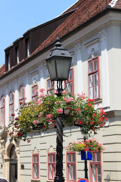 Lampada da strada vecchio stile con fiori — Foto Stock