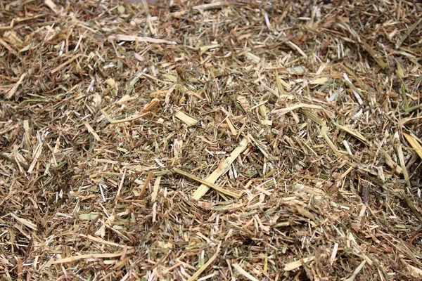 Forage-based dry straw — Stock Photo, Image
