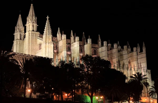 Собор Пальма-де-Майорка ночью — стоковое фото