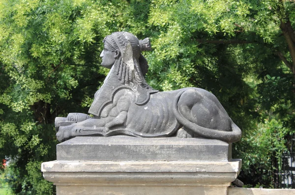 Sphinxstatue — Stockfoto