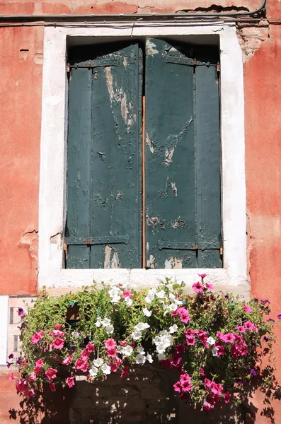 Vieille fenêtre avec pots de fleurs — Photo