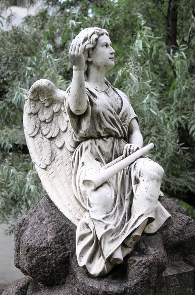 天使の天使 — ストック写真
